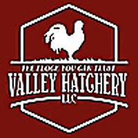 Valley Hatchery Podcast