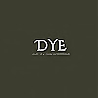 Diary of a Young Entrepreneur (DYE)