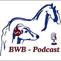 BWB Podcast - Der Fachschultalk mit Barbara Welter-B&ouml;ller & Marion Pilipp