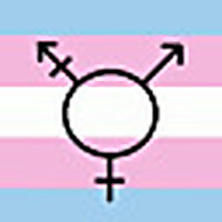 Transgender Teen Survival Guide