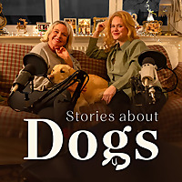 Stories about Dogs by Julia Birk