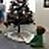 Where Rose Writes Very True Stories &raquo; Short Stories