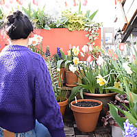 Balconia Garden Podcast