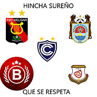 Hincha Peruano Que Se Respeta