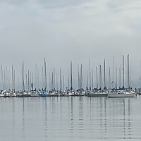 Stiff in the Mist Mystery Podcast Series 