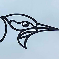 Beakuency: Meet Bird People in the Hudson Valley!