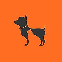 Heads Up For Tails Blog &raquo; Cat