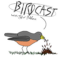 BIRDCAST - A Birder's Podcast