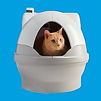 Cat Genie &raquo; Catgazette