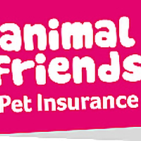 Animal Friends &raquo; Cat Blog