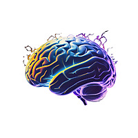 Ultimate Guide to Nootropics