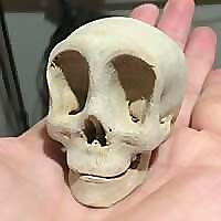 Stop Motion Magazine &raquo; Short Films