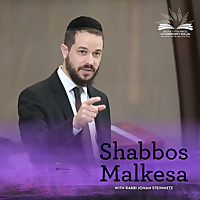 Shabbos Malkesa with Rabbi Steinmetz