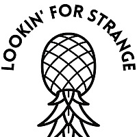 Swinger Hotwife Life Perspectives