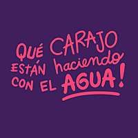 Qu&eacute; Carajo Est&aacute;n Haciendo Con El Agua