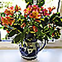 My Quiet Life in Suffolk