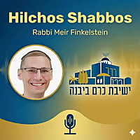 Hilchos Shabbos | Rabbi Meir Finkelstein (Yeshivat Kerem B'Yavneh)