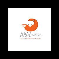 Wild Watch