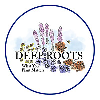 Curious by Nature with Deep Roots