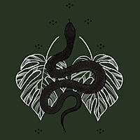 The Jurassic Wildlife Podcast