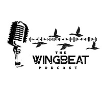 The Wingbeat Podcast