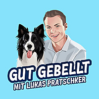Gut gebellt