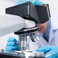 Let's Talk Science