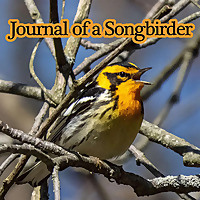 Journal of a Songbirder