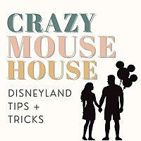 Crazy Mouse House