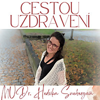Cestou uzdraven&iacute;