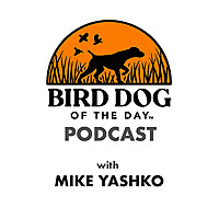 Bird Dog of the Day