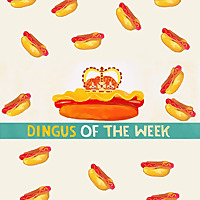 Dingus of the Week Podcast