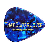That Guitar Lover