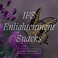 IFS Enlightenment Snacks