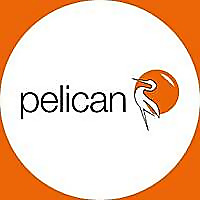 Pelican Pune