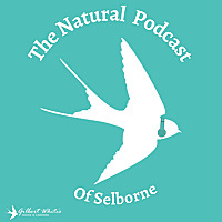 The Natural Podcast of Selborne