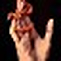 The Irreligious Satanist