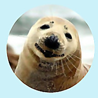 officialunitedstates - the FIRST and LAST art blog