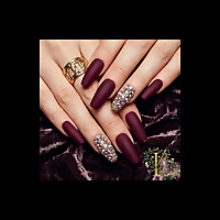 The Nail Exam Lounge: Path to Licensed Nail Technician