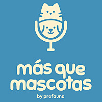M&aacute;s que mascotas