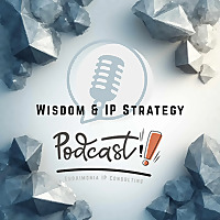 Wisdom & IP Strategy