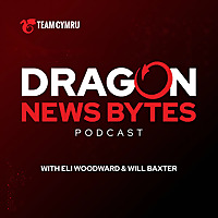 Dragon Bytes
