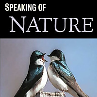 Speaking of Nature