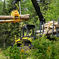 Wood & Iron: For Loggers. By Loggers.