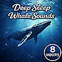 Deep Sleep Whale Sounds
