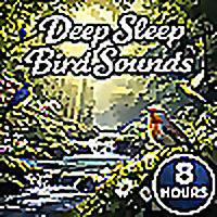 Deep Sleep Bird Sounds