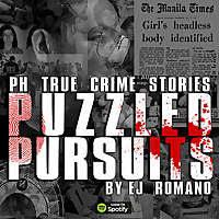 PUZZLED PURSUITS