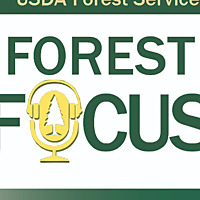 Forest Focus Custer Gallatin National Forest
