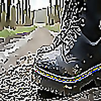 NW Tracks