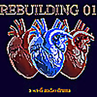 Rebuilding 01